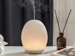 Diffuser (Fragrance)